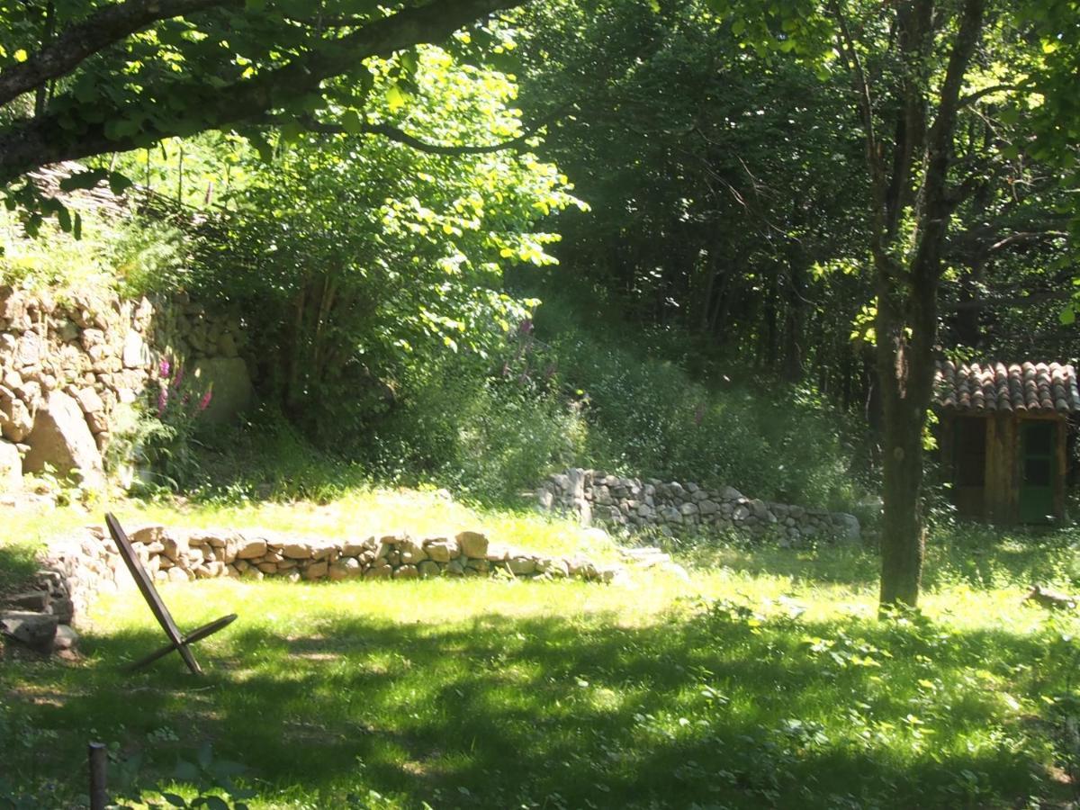 Grande Tente Tipi En Pleine Foret Burzet 外观 照片